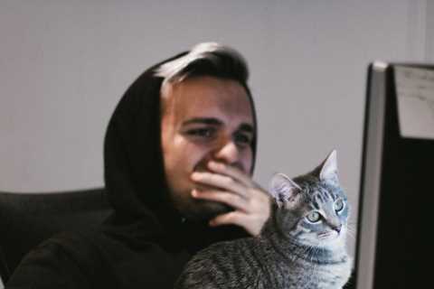 Cats react to their owners playing Stray