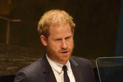 Prince Harry accused of ‘copying and pasting’ William’s speech when he addressed UN by fans