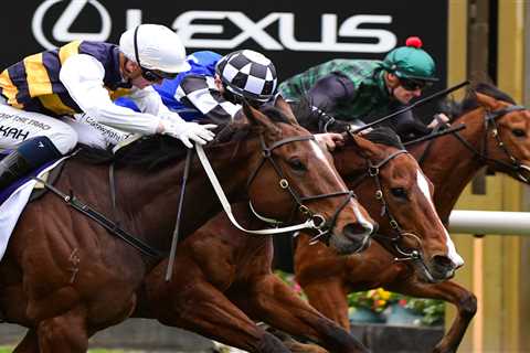 Jockey agent slapped with huge ban for betting against his own riders in horse races
