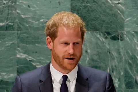 Prince Harry’s explosive book set for Christmas launch with insiders fearing it could blast Camilla ..