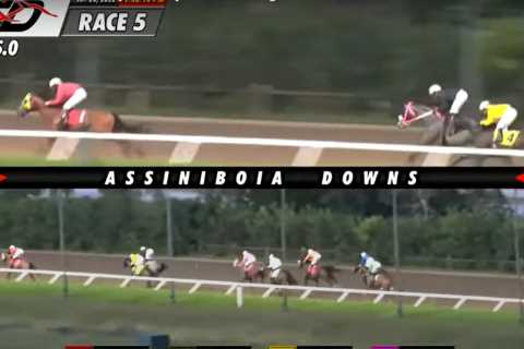 Uproar as statement released explaining why jockey who lost huge lead in ‘very concerning’ race did ..