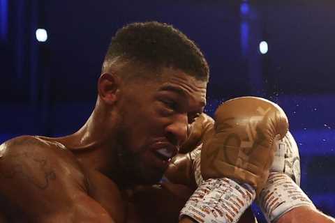 Oleksandr Usyk backed to KO Anthony Joshua in rematch after ‘giving him a boxing lesson’ in first..