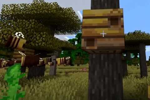 How to get honeycomb in Minecraft