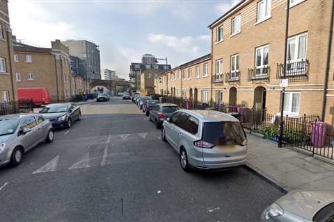 London home could be yours for £950-a-month… but it will be tough to get into bed