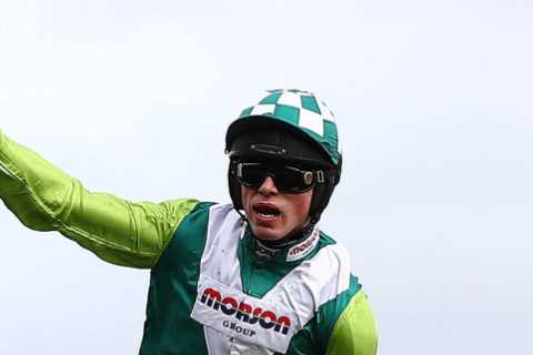 Gigantic Cheltenham Festival winner Topofthegame, 10, back in training… and 50-1 to win Grand..