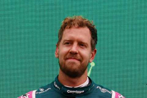 From picking up litter to LGBTQ fight and saving bees – Vettel is more than an F1 great having..