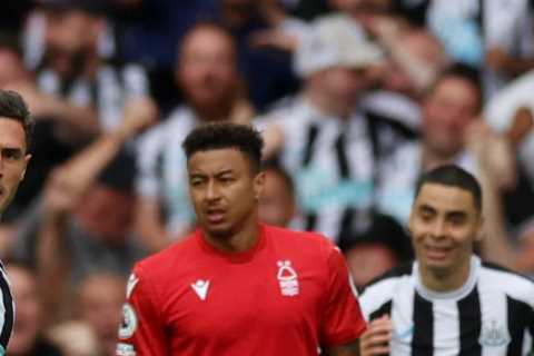 Newcastle 2 Nottingham Forest 0: Fabian Schar screamer and Callum Wilson get Magpies off to a..
