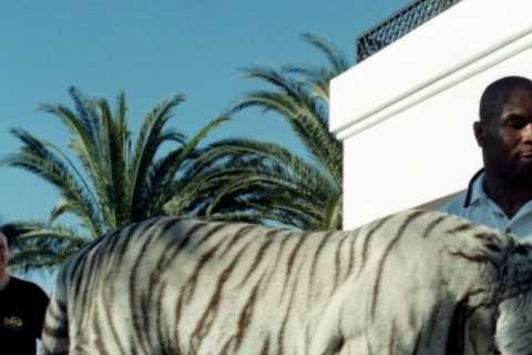 Mike Tyson’s pet tiger tried to eat his neighbours’ DOG which caused boxing legend to lose his..