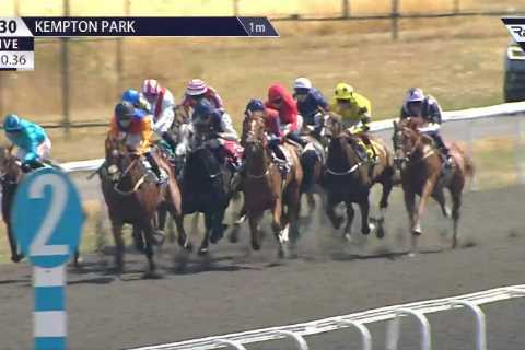 Carnage at Kempton as jockeys spiral across track in fall &amp; bookies refund bets on horse who..
