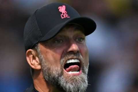 Fulham mercilessly troll Jurgen Klopp after ‘dry pitch’ moan with snap of ‘lush’ Craven Cottage..