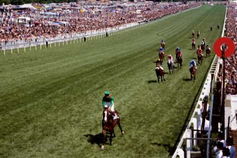 Shergar-style kidnapping attempt rocks racing as thieves try to steal winning horse in broad..