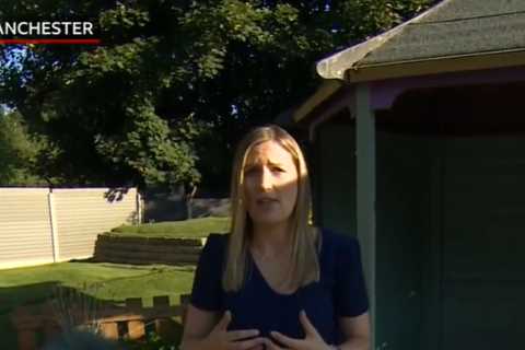 BBC viewers CRASH dog rescue website in desperate rush to save abandoned pooches