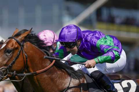 ‘I’m surprised they allowed it’ – racing’s forgotten man lands 125-1 winner on horse with..