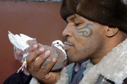 Legend Mike Tyson once KOed a garbage man with ‘titanic right hand’ for putting favourite pigeon in ..