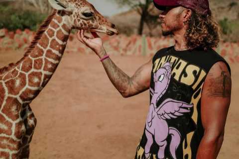 Fans all say the same thing as Lewis Hamilton reveals dramatic new hairdo as he pets baby giraffe..