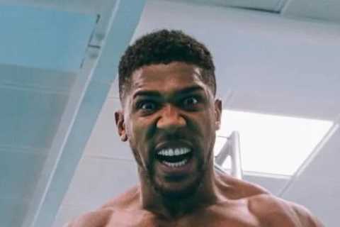Anthony Joshua has been through 13 sparring partners for Oleksandr Usyk rematch as they all keep..
