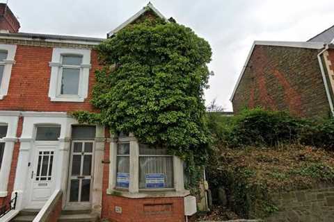 Three bedroom home could be yours for just £32,000 – if you’re up for a LOT of gardening
