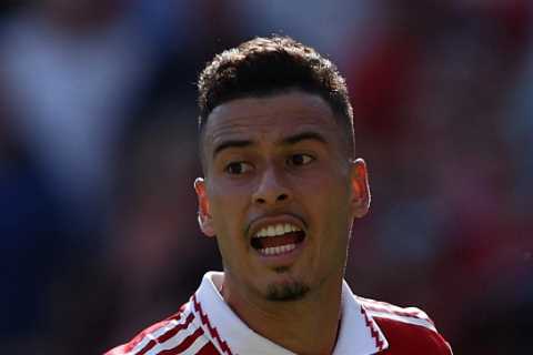 Man Utd legend Rio Ferdinand claims Arsenal star Gabriel Martinelli ‘can be the next Luis Suarez’..