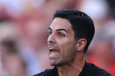 Mark Irwin: If your boss spoke to you like Mikel Arteta, you’d be straight to HR… but Arsenal stars ..