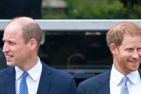Prince William to visit New York – but ‘has no plans to see Harry at his LA home’