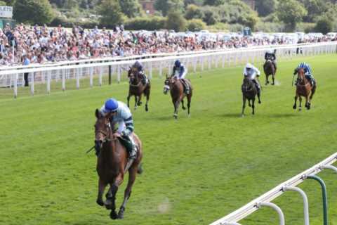 ‘A lot of unhappy punters’ – Furious fans blast ‘farce’ race as easy winner coasts home miles clear ..
