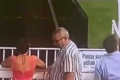 Watch idiot racegoer throw drink at horses as furious punters call for lifetime ban after..