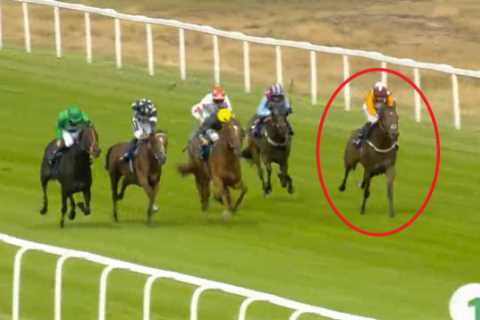 Woman critically injured and racehorse dies in horrific road crash just hours after winning at..