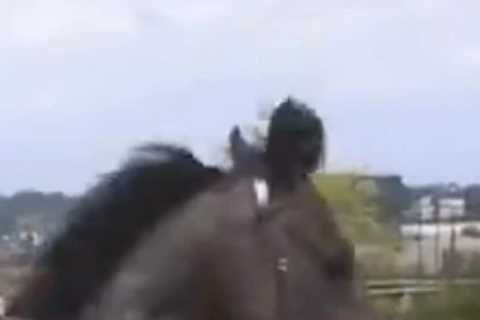 Watch crazy horse Blackbeard ‘take the p**s’ with dance moves before race as Ryan Moore just tries..