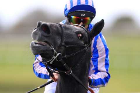 ‘I won’t be coming back’ – punters in disbelief as Catterick ABANDONED due to unsafe ground after 1...