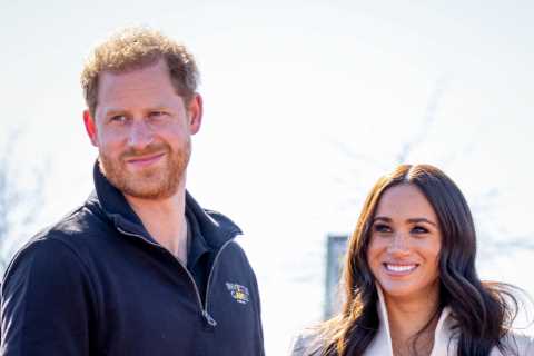 Meghan Markle and Prince Harry welcome adorable new addition to the family