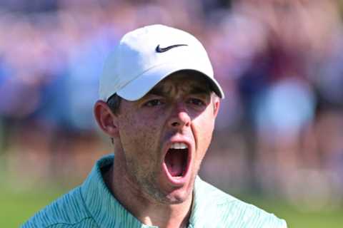 Rory McIlroy wins incredible £15.3m prize by claiming Tour Championship to also top the FedEx Cup..