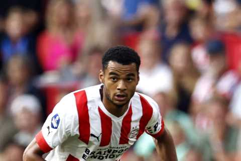 Man Utd given hope over Cody Gakpo transfer as PSV Eindhoven rule out sale to Southampton or Leeds