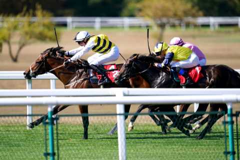 Matt Chapman: Latest whip ban is “embarrassing” but British racing has led the way into this “utter ..