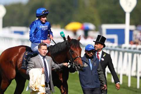 Horseracing in mourning after 2000 Guineas winner Coroebus suffers life-ending injury after falling ..
