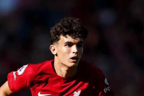 Liverpool’s transfer swoop for Spanish starlet Stefan Bajcetic was smart business and left Man Utd..
