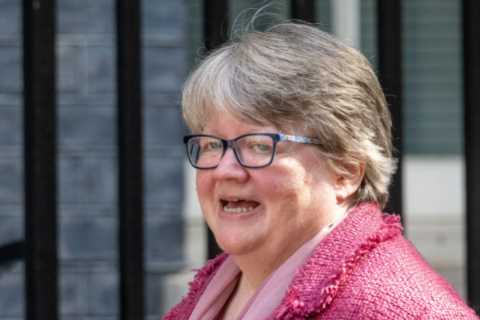PM favourite Liz Truss is lining up Therese Coffey to be her Deputy
