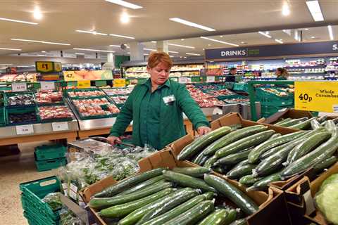 Cucumber prices will rocket above £1 next year as gas prices soar, experts warn