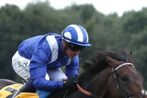 ‘He’s finished’ – Shock as Minzaal forced to retire days after amazing win in latest devastating..