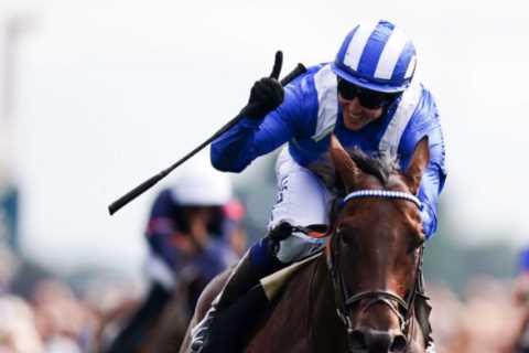 Want to see Baaeed? Then get here early warns William Haggas ahead of what could be horse’s last..