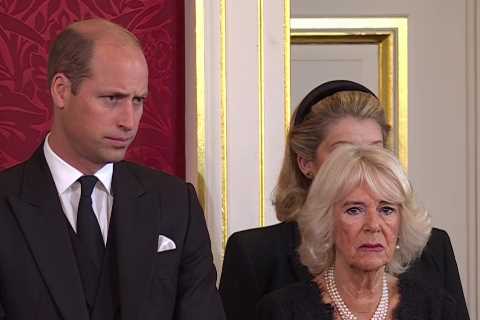 Prince William reveals grief at Queen’s death – but stands dutifully behind new king, body language ..