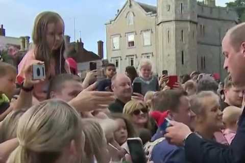 Sweet moment Prince William’s gifted Paddington Bear by grieving fan – and he immediately says who..