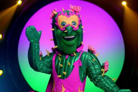 The Masked Dancer fans ‘100% sure’ Cactus is I’m A Celeb winner after clever clues