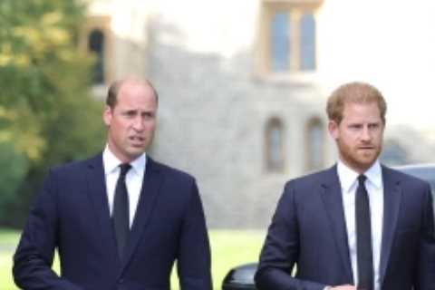 Royal fans ‘swoon’ over Prince Harry’s ‘romantic gesture’ to Meghan Markle on walkabout with Kate..