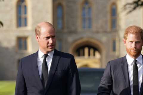Body language expert reveals why Prince William and Kate Middleton are rarely spotted holding hands ..