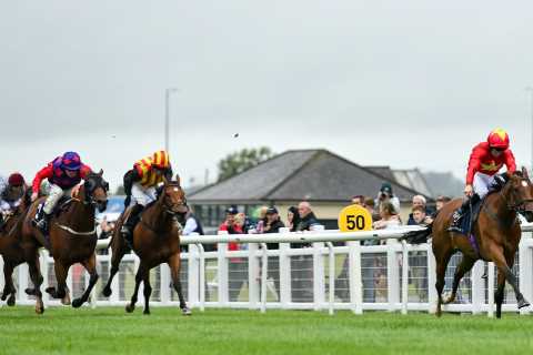 Matt Chapman: Highfield Princess is the winning lottery ticket we all dream of… she’s the public’s..