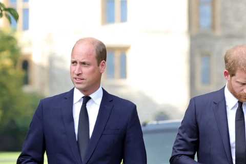I’m a body language expert – small moment during Windsor walkabout ‘revealed’ how Kate really feels ..