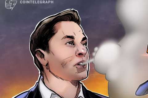Elon Musk, Cathie Wood sound 'deflation' alarm — is Bitcoin at risk of falling below $14K?
