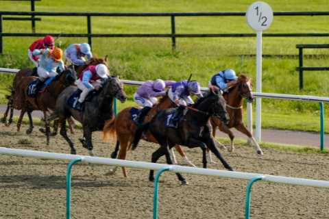 Horse Racing: Get £30 to spend at Redcar, Punchestown or Wolverhampton with Betfair – 18+ T&amp;Cs..