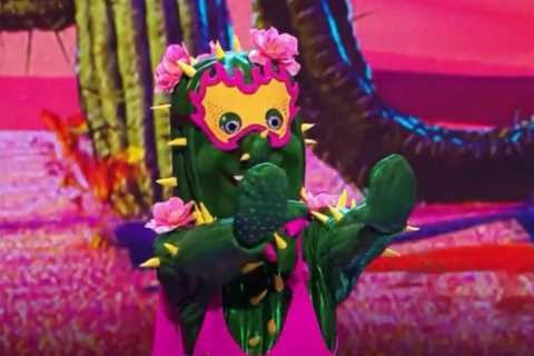 Masked Dancer fans ‘work out’ that Busted star is behind Cactus costume
