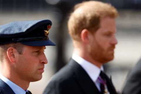 Prince Harry &amp; William to stand together beside Queen’s coffin as they grieve with Royals at..